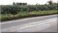 View across B5307 as it crosses Hopsteps Beck at Hopsteps Bridge