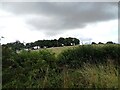 Flinton Hill from the A183