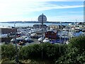 Yachts at Milford Waterfront marina