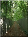 SS8281 : Heol-y-Sheet public footpath, North Cornelly by eswales