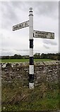 NY3457 : Cumberland County Council finger signpost at T-junction at Hosket Hill by Roger Templeman