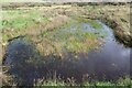 Small pond, Llangloffan Fen NNR