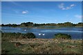 TL3673 : Barleycroft Lake by Hugh Venables