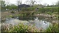 Pond, Aldenham Country Park