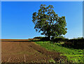 Church Hill farmland