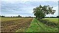 Footpath towards Steetley