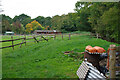 Paddocks at edge of woodland, Upper Norwood