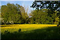 Watermeadows along the River Fromus, Benhall Green