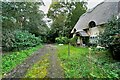 Thatched cottage on the track into White Wood