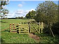 NY3745 : Gate on The Cumbria Way by Adrian Taylor