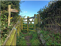 TA1375 : Gate on Public Footpath near St Peter's Church by David Dixon