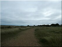TF6943 : Norfolk Coast Path: Flaxley to Brancaster (1) by Basher Eyre