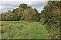 Path on edge of Lower Test Nature Reserve