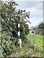 Direction Sign - Signpost opposite Orton Rigg drive