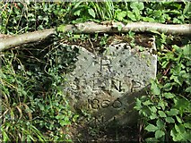 TQ1451 : Polesden Lacey Estate - Boundary Stone by Colin Smith