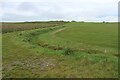 NL9742 : Improved pasture at Balinoe by Alan Reid