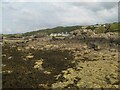 Rocky shore with cottages