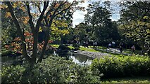 TQ2479 : Kyoto Garden, Holland Park by Bryn Holmes