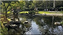 TQ2479 : Kyoto Garden, Holland Park by Bryn Holmes