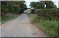 Track to Catshead Farm, Sudborough