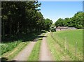 Track near Sawmill Cottage