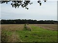 Stubble fields east of Woodbastwick Road