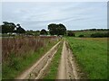 Track near allotments, Upper Street