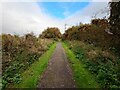 Path heading to railway footbridge