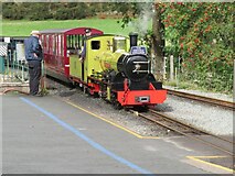 NY1700 : Northern Rock arriving at Dalegarth Station by Chris Allen