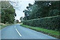 Bury Road, Gulling Green