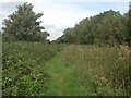 Path out of the course at the western end of the Grove Golf Club