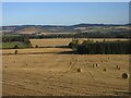 Baled field near Archballoch