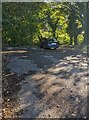 Car parked at the edge of woods near Cam and Dursley station