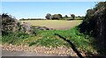 Field on NW side of Gallowhill Lane near Mount Huly Farm