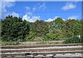 Joining train tracks entering Colchester