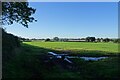 Field beside Northgate Lane