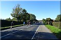 Marathon runners on the A166