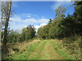 Bridleway near Over Silton