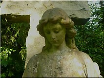 SE2639 : Head of an angel in the old part of Lawnswood Cemetery by Humphrey Bolton