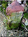 Old Boundary Marker near Crewgarth