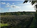 Newly ploughed field