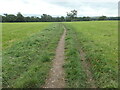 NY5632 : Public footpath heading to the River Eden by Christine Johnstone