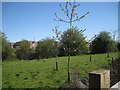 Open space, Brook Farm development, Warwick