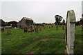 Graveyard, Whithorn