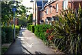 Cotford St Luke : Footpath