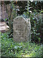 Bloxworth milestone