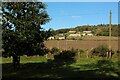 Fields west of Fourstones