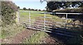 Gateway from northeast side of minor road to field with sheep north of  Baldwinholme