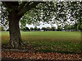 Autumn at the Meadow Gardens recreation ground