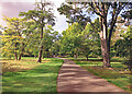 Path to the café, Kew Gardens